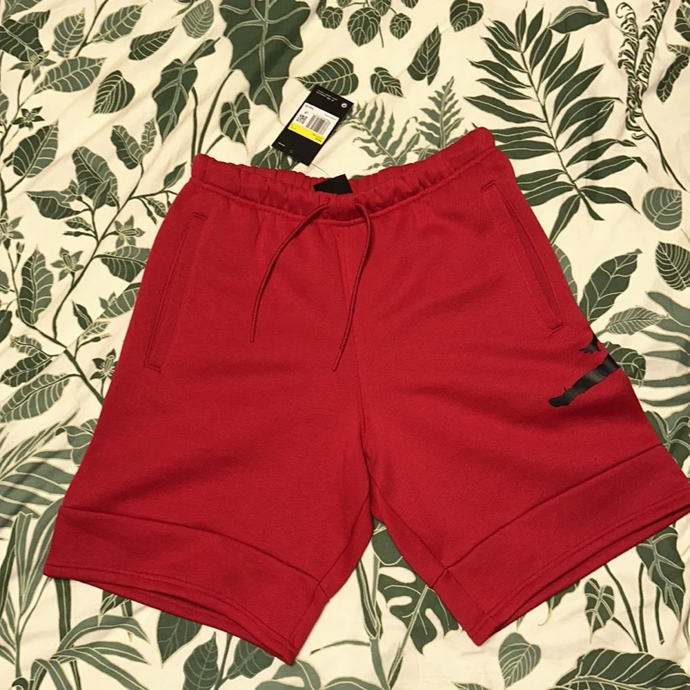 Brand New Men’s Nike Air Jordan Shorts Size Small - Picture 3 of 5
